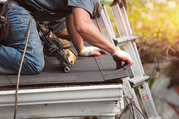 Roof Gutter Cleaning in St Paul, NE
