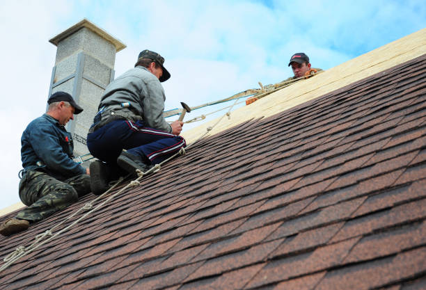 Best Storm Damage Roof Repair  in St Paul, NE