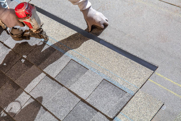 Best Roof Maintenance Services  in St Paul, NE